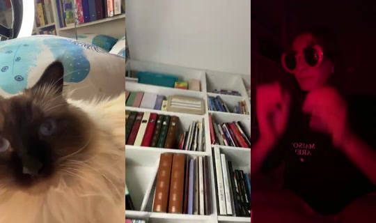 Ophenya_'s Stream - Jul 31, 2026, 7:17 PM