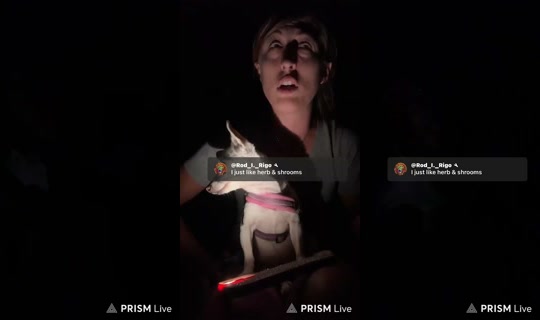 Vpalwayswins's Stream - Oct 10, 2026, 3:27 AM