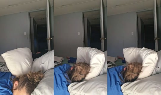 damienathena2448's Stream - Jul 16, 2026, 12:29 AM