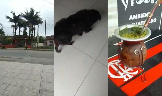 janetecarlini's Stream - Oct 14, 2026, 11:57 AM