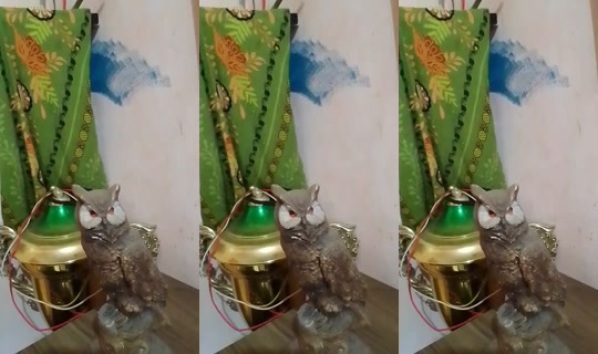 janetecarlini's Stream - Oct 16, 2026, 7:28 PM