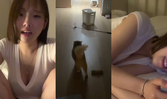 cofls3562's Stream - Jun 22, 2026, 3:22 PM