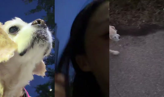 dlsgk1763's Stream - Jun 18, 2026, 7:41 PM