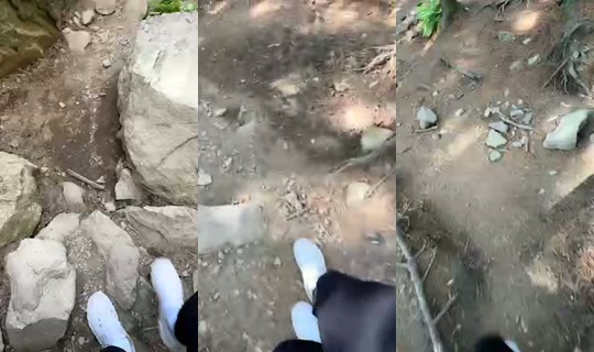 dodohee0929's Stream - Jun 16, 2026, 8:47 AM