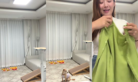 Stream di dodohee0929 - 24 giu 2026, 13:05
