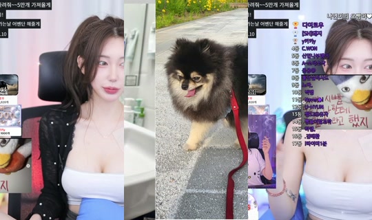 jeewon1202's Stream - May 24, 2026, 3:11 PM