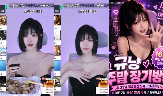 lalalal1004's Stream - May 23, 2026, 1:50 PM