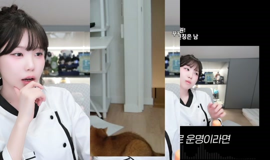 nanajam's Stream - Jun 14, 2026, 3:47 PM