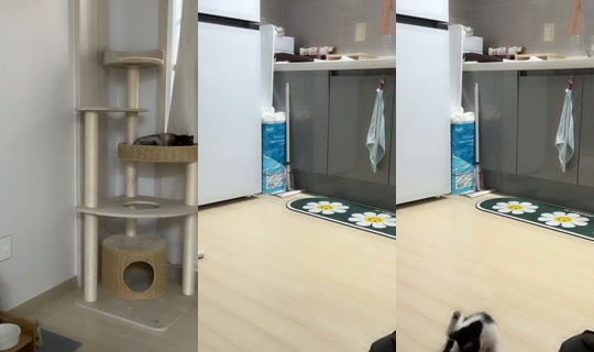nerve89's Stream - Jun 16, 2026, 10:12 AM