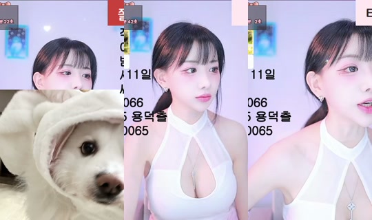 nooree's Stream - May 8, 2026, 11:30 AM