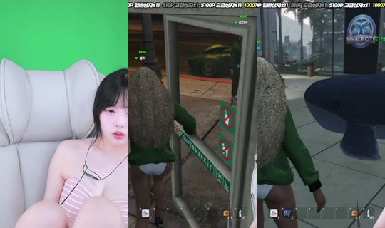 yjk011599's Stream - May 23, 2026, 1:43 PM
