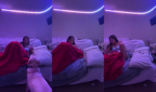 Stream von ogchronic – 25. Mai 2026, 2:54