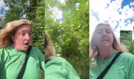 Everydaygal3's Stream - Jun 16, 2026, 1:53 PM