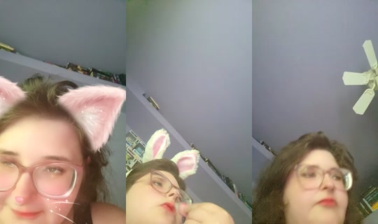 Taylorsiefert's Stream - Jun 29, 2026, 8:48 PM