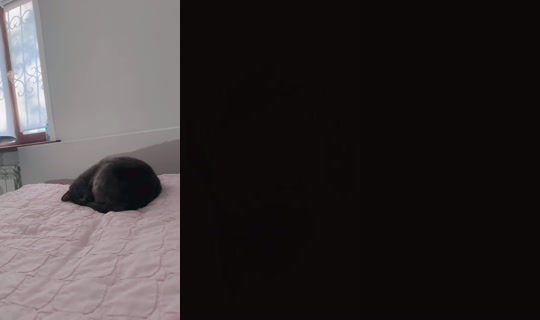 بث Zay7899 - 21 أبريل 2026، 1:14 ص