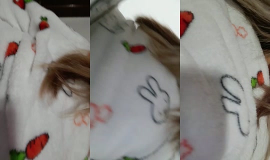 18923909's Stream - May 9, 2026, 4:29 AM