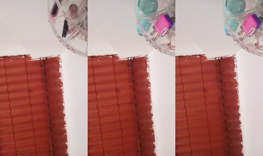 24549037's Stream - Apr 20, 2026, 6:10 PM