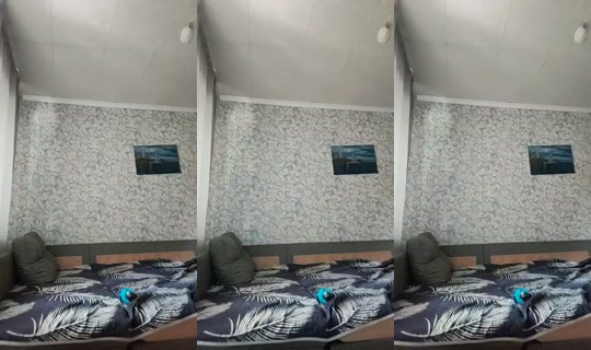 26647220's Stream - May 18, 2026, 7:52 AM
