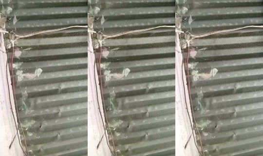 30521264's Stream - May 21, 2026, 4:54 PM