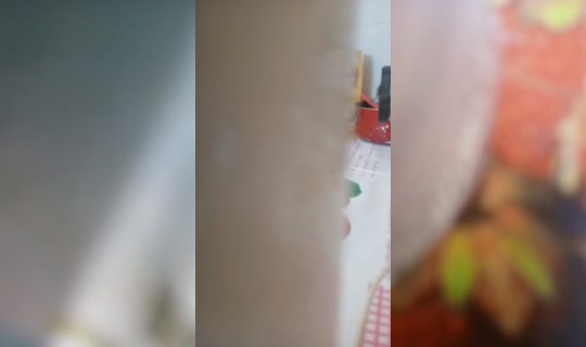 31119509's Stream - Apr 19, 2026, 2:38 PM