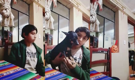 31285085's Stream - Apr 18, 2026, 11:59 PM