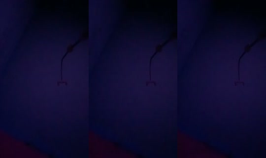 5229734's Stream - May 5, 2026, 9:31 AM