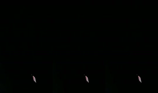 5229734's Stream - May 9, 2026, 4:42 AM