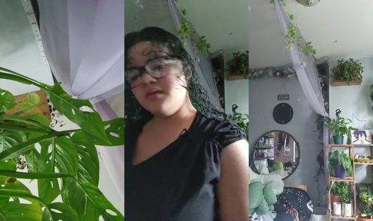 5393535's Stream - May 21, 2026, 2:37 PM