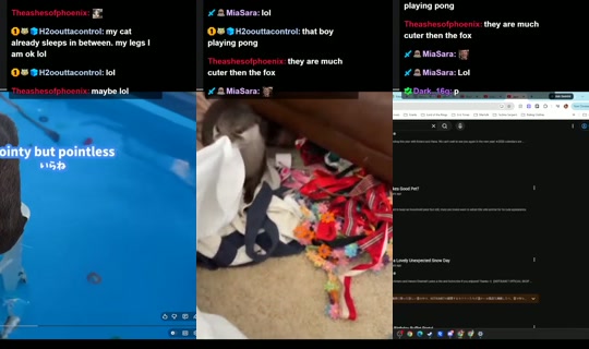 amouranth's Stream - Jul 3, 2026, 7:44 AM