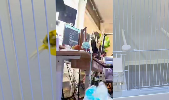amouranth's Stream - Jul 3, 2026, 5:04 PM