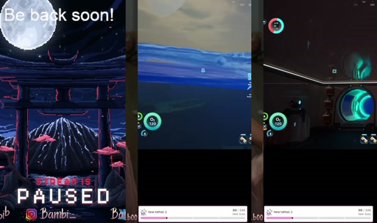 bambib00's Stream - May 24, 2026, 12:14 PM