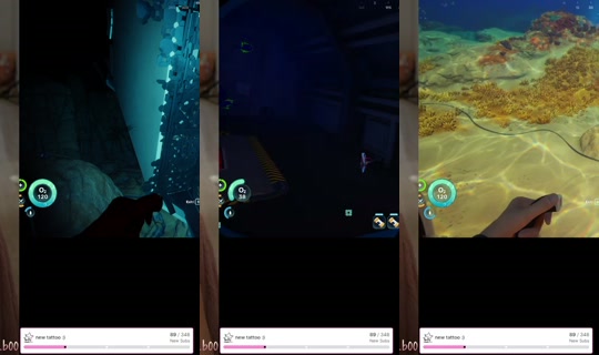 bambib00's Stream - May 24, 2026, 1:56 PM