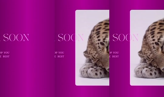 karoo-osuna's Stream - Jun 24, 2026, 8:22 PM