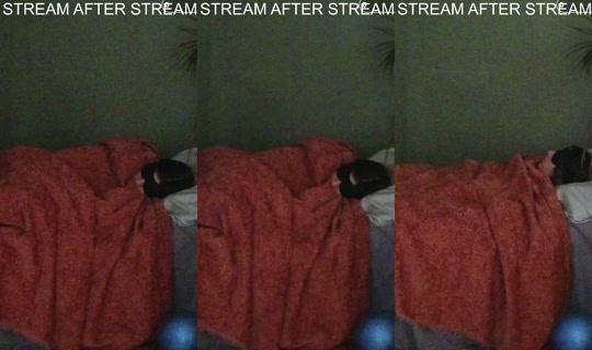 lilaclove's Stream - Jun 1, 2026, 9:42 AM