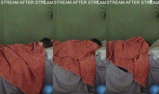lilaclove's Stream - Jun 1, 2026, 10:32 AM