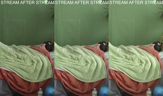 lilaclove's Stream - Jun 1, 2026, 12:13 PM