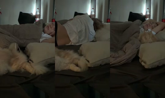 luplupka's Stream - May 7, 2026, 4:07 AM