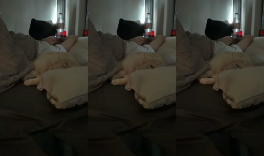luplupka's Stream - May 7, 2026, 4:58 AM