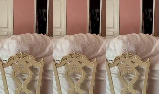 milywrld's Stream - Jun 11, 2026, 8:59 PM