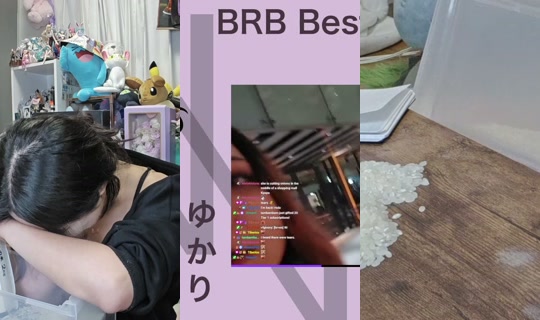 nicoco's Stream - May 23, 2026, 1:02 PM