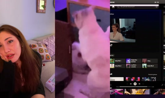 ozgis's Stream - May 21, 2026, 4:51 PM