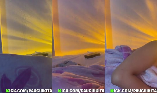 pauchikita's Stream - May 30, 2026, 11:37 AM
