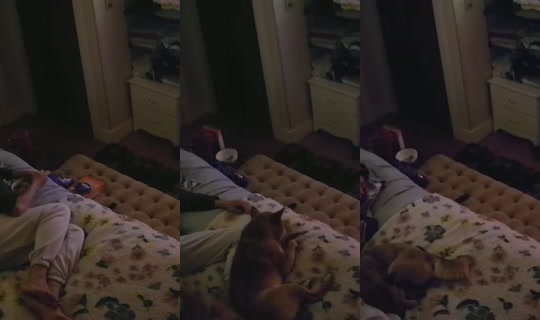 poppypnw's Stream - May 29, 2026, 9:45 AM