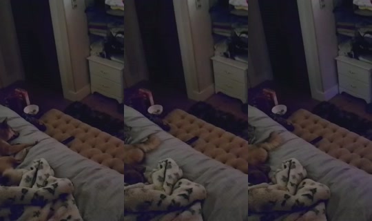 poppypnw's Stream - May 29, 2026, 11:26 AM
