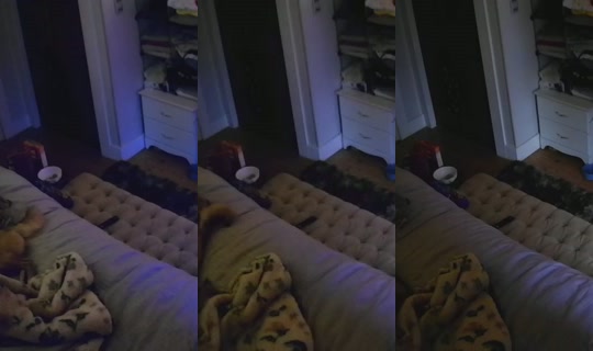 poppypnw's Stream - May 29, 2026, 12:17 PM