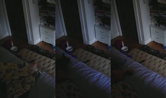 poppypnw's Stream - May 29, 2026, 1:58 PM
