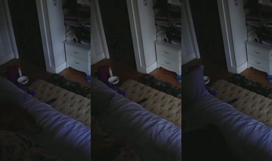 poppypnw's Stream - May 29, 2026, 3:39 PM