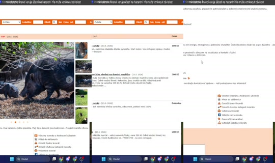 Stream von seaser – 13. Mai 2026, 20:42