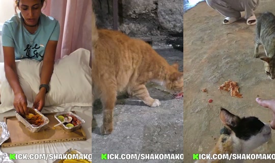 shakomako's Stream - Apr 23, 2026, 7:44 PM