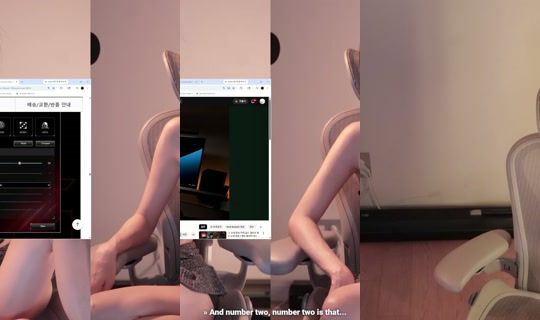 yoonfroggy's Stream - May 29, 2026, 2:44 PM